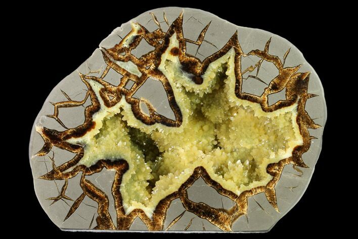 Polished, Crystal Filled Septarian Geode - Utah #149978